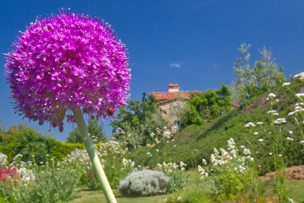 Odina Agriturismo Loro Ciuffenna Luaran gambar